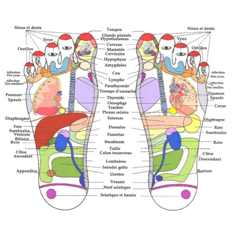REFLEXOMAT Tapis de Réflexologie Plantaire pour Soulager le Corps — free download